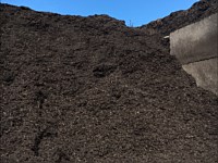 Brown Mulch